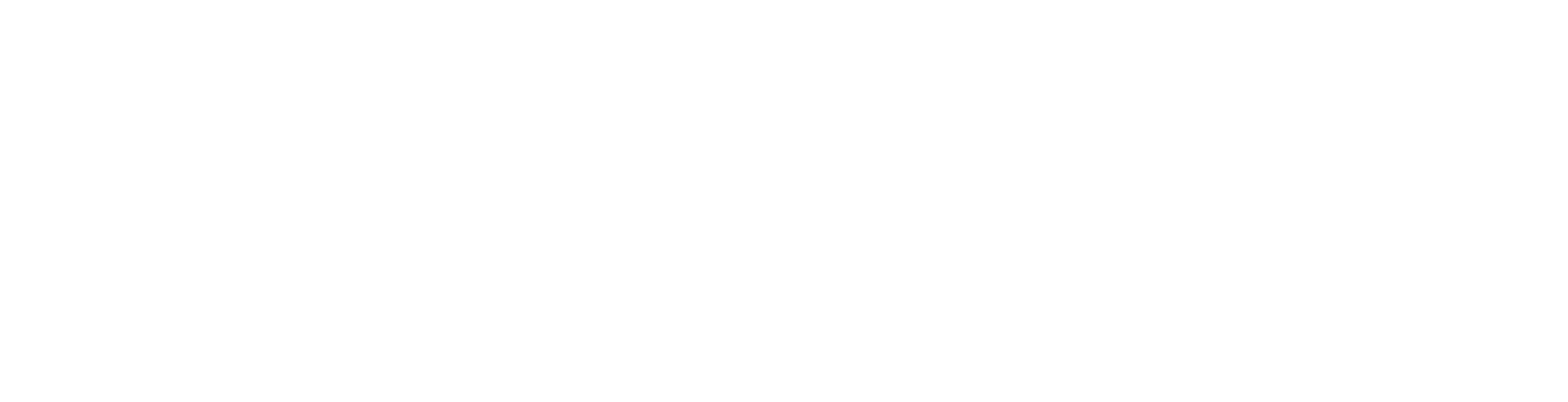 TYSMERCOSUR logo2